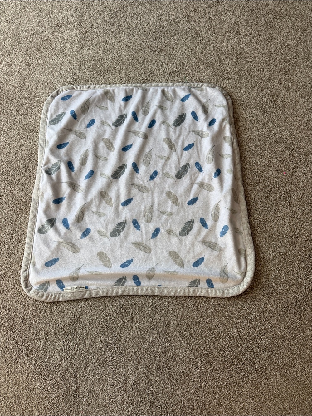 Blankets & Beyond Baby Boy Blue White Gray Silver Feather Blanket Swirl Fur